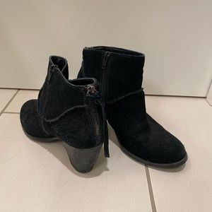 Steve Madden Suede Booties
